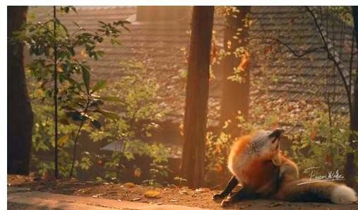 一马玉涛麻辣烫