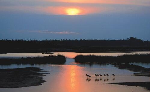 二唇上之歌在线观看完整版