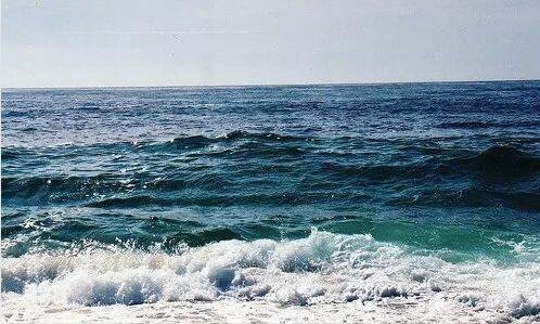 一墨鱼汁什么味道