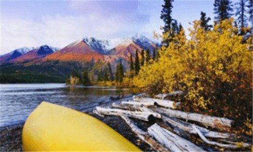 三墨鱼汁怎么处理好吃