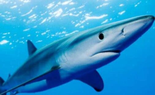 二香港最新地铁路线图