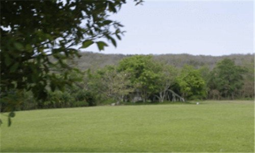 二普法栏目夜迷离下集