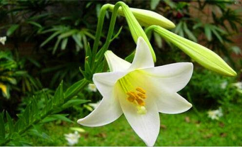 二适合女士清修的寺庙