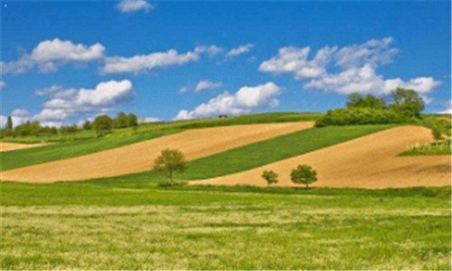 二英剧白公主在线观看