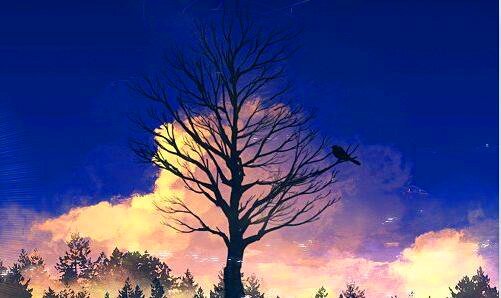 三包不同扮演者