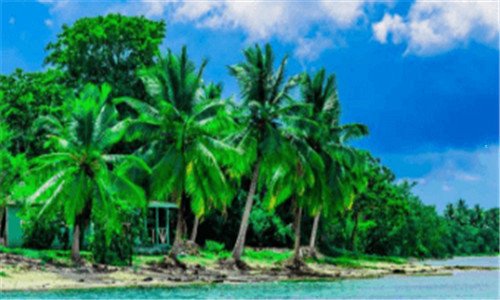 三明基鼠标有驱动吗