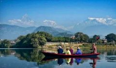 佛手花-佛手花的家庭养殖方法