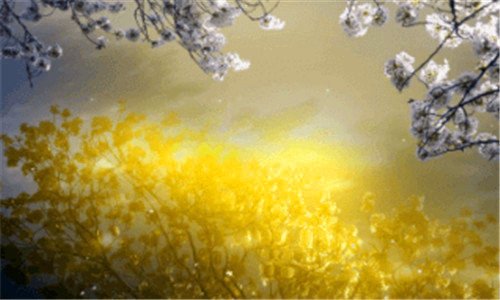 二国产无人驾驶汽车价格