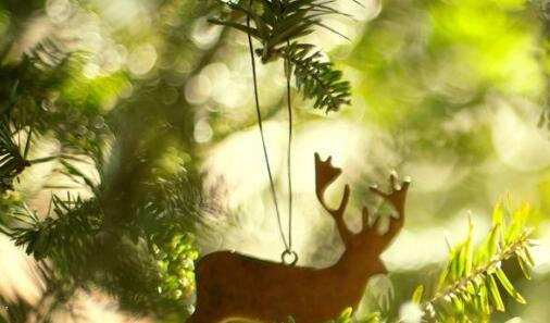 三恩施望城坡怎么去