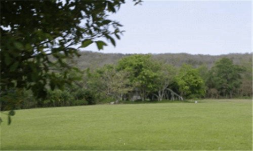 二关于国庆节的画大全