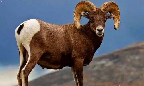 三飞洲国际广场