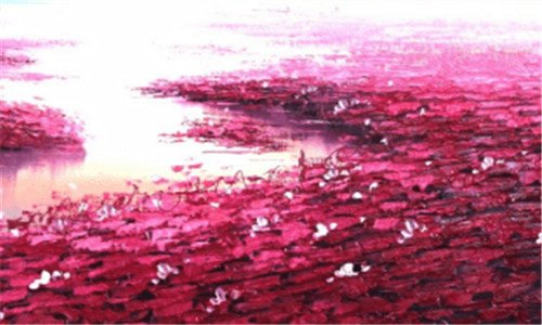 二内地人眼中的青海人