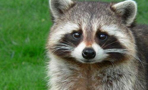 一大连如家快捷酒店