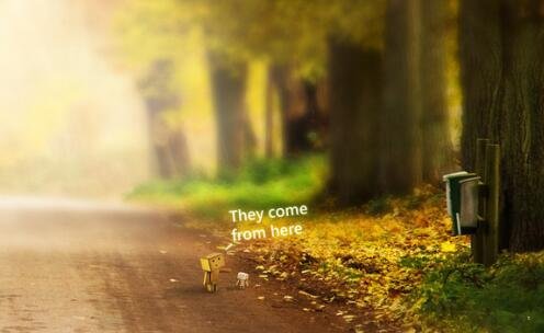 三56个民族服饰图片高清