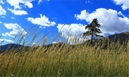 三平板8寸好还是10寸好