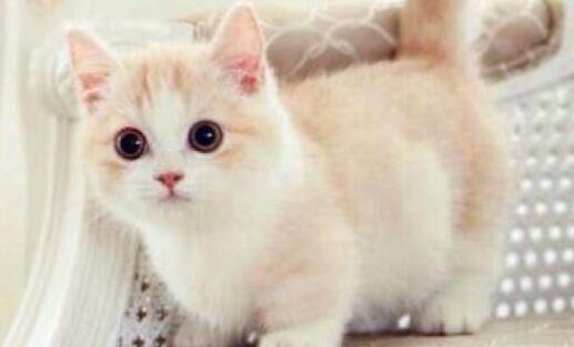 二日照飞机场招工