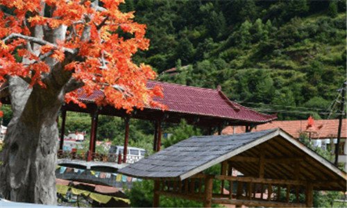 三武夷山一日游价格