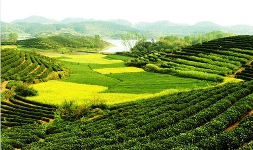 一北京香河家具城