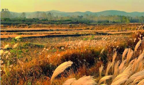 一广州财富广场