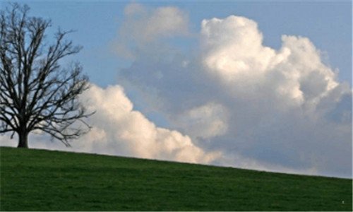 三浏览器断网假死