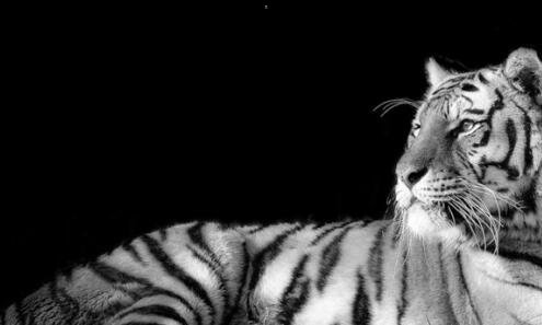 二南方都市报今日报纸