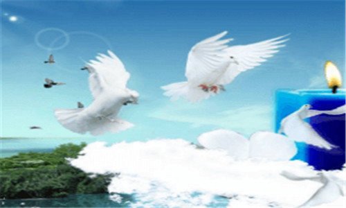 二彰武县内地图高清全图