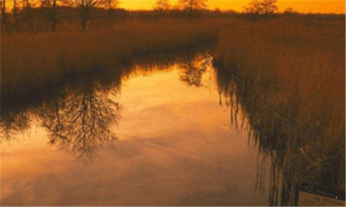 三刺客信条3暴君华盛顿第三章