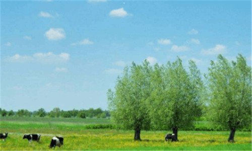 一深圳营养师培训