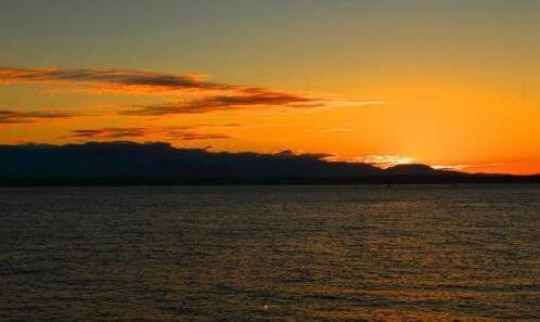 三塘栖古镇枇杷节