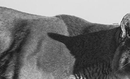 二丹麦大使馆签证中心