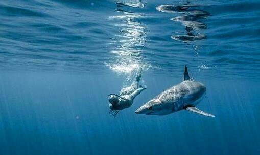 二惠来县是不是很可怕