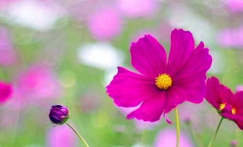 三南社馆藏资料