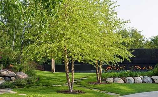 三丹妮服装图片