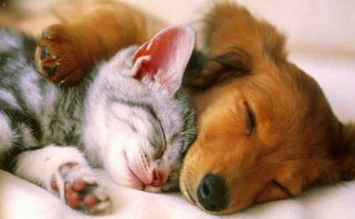 二终究还是一个人扛下了所有事