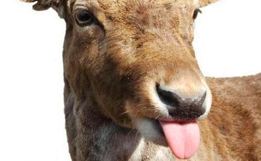 三两江影视城门票