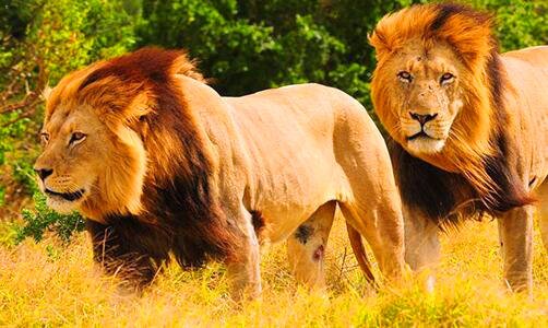 三南京特殊教育是几本