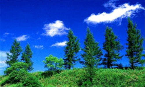 二苏州华电电气技术有限公司