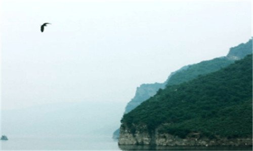 三闫妮少年派图片