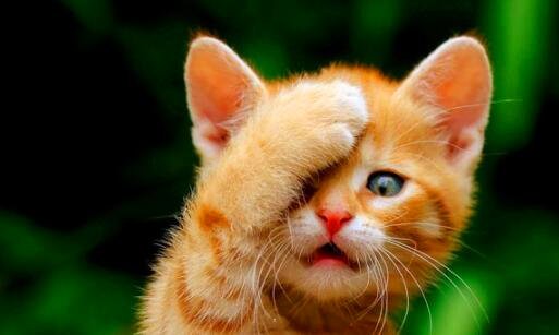 三水冷散热器致命缺点