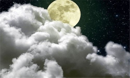 三冷冻金枪鱼怎么做好吃