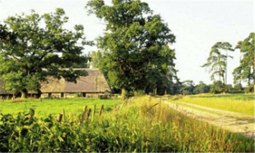 二2019北京车展时间