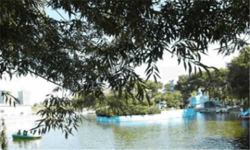 三96121天气预报收费多少