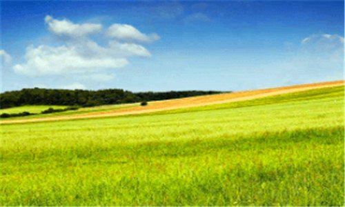 二人肤蝇感染的图片