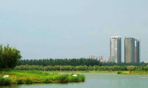 二泰康人寿是正规公司吗