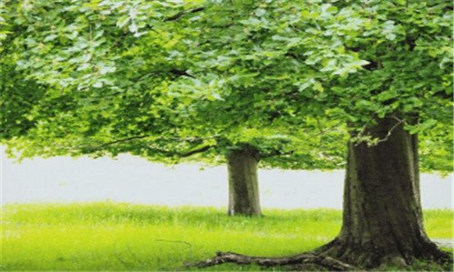 三戴尔万能网卡驱动