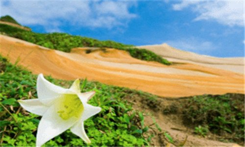 三松江区在上海什么水平