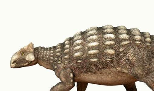 三游戏闪退修复器安卓