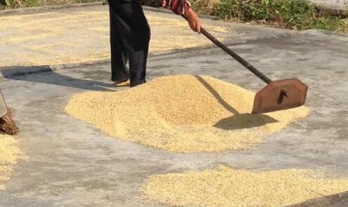 一正常人一天体温曲线图