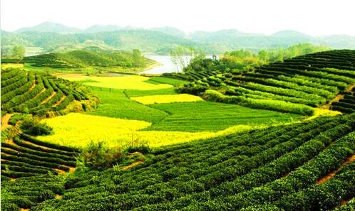 二宁国市的应山人