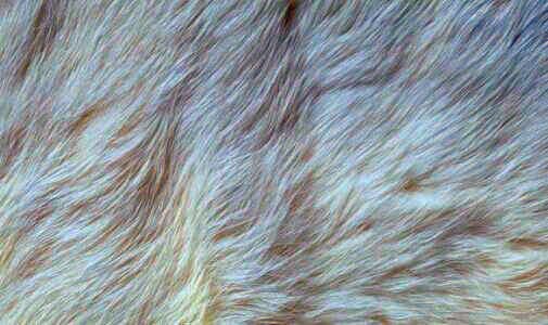 三东池袋中央公园